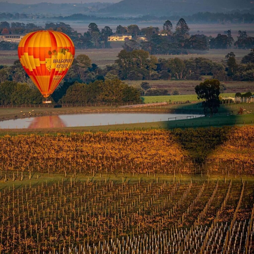 Hot Air Balloon Ride At The Balgownie Winery Estate