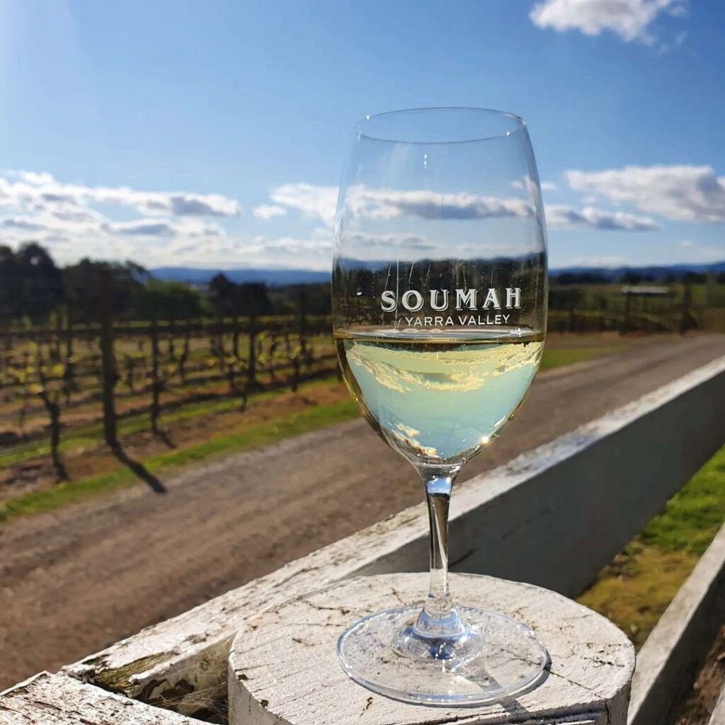 Wine Glass at Soumah Wines in Yarra Valley