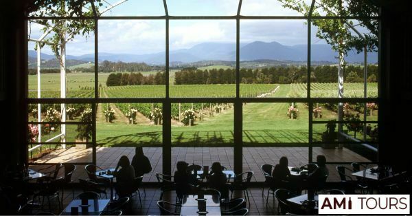 Mornington Peninsula Wineries – And Why You Should Visit Them