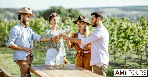 Yarra Valley Wine Tours