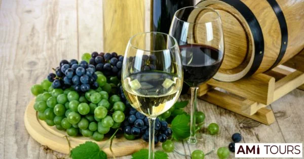 Yarra Valley Wine Tours - Mandala Wines