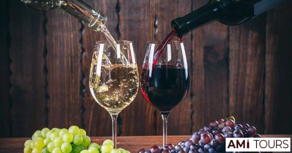 Red Wine vs White Wine: 10 Key Differences