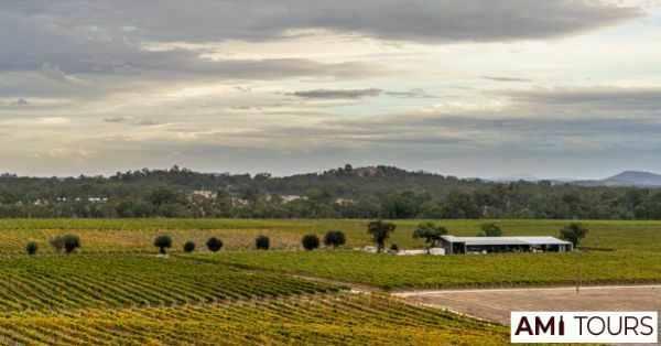 Winery Tours In Australia